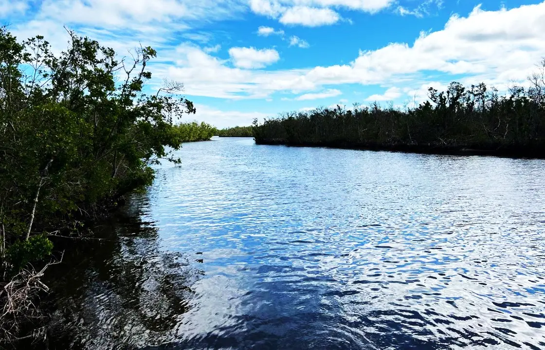 Nearby Attraction Ponce De Leon Park.JPG.webp