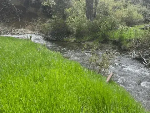 Screenshot-2025-07-24-at-2.18.14-PM-480x360.webp