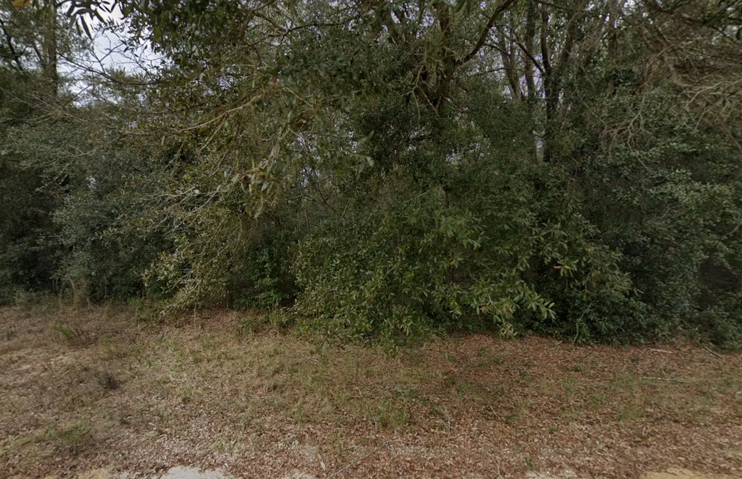 13-09-24-4076-1510-0230 01.PNG.webp