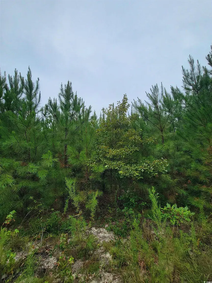 e365cfcbfcfbecd669300ce448ede9ff-uncropped_scaled_within_1536_1152.webp.webp