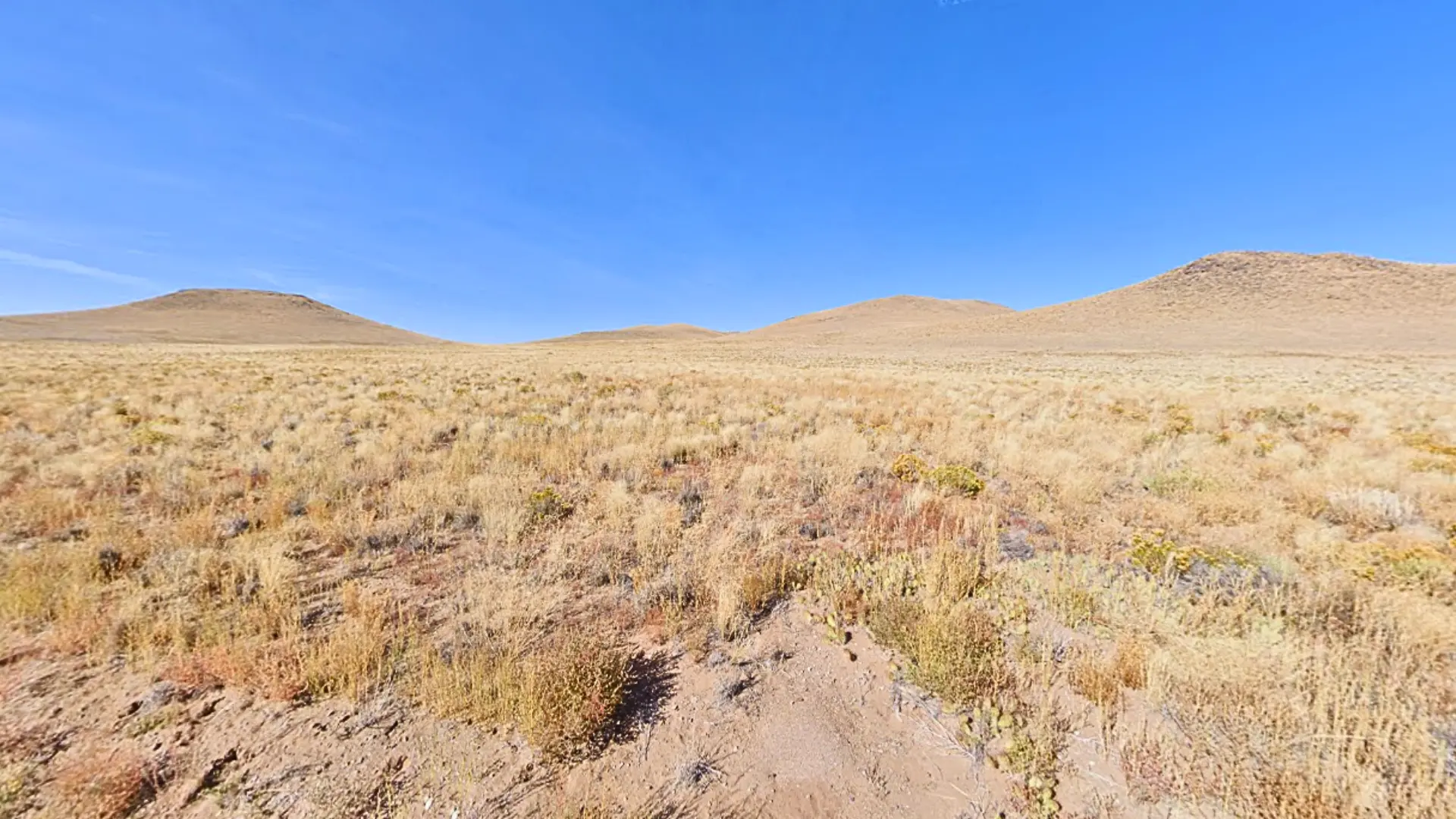 NH - COSTILLA - 703-95-440 (4).webp