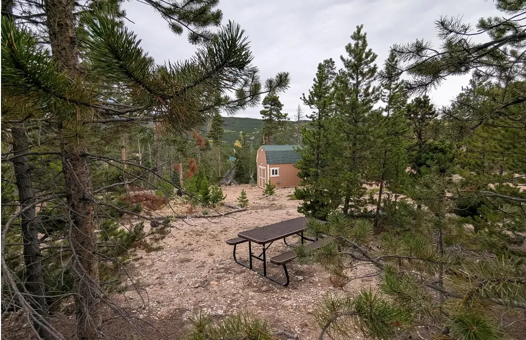Through the trees.png.webp