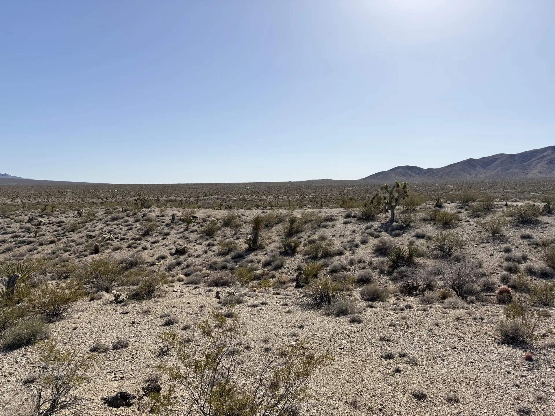 PIC-3 Three Acres 337-16-203 THRU 205.webp