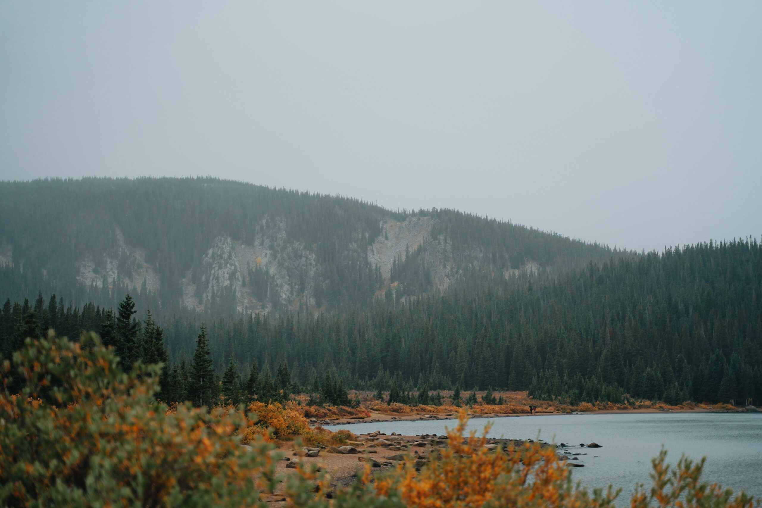 Your Path to Land Ownership